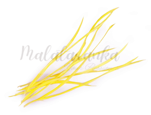 Pióra gęsie stosina 15-20 cm ŻÓŁTE