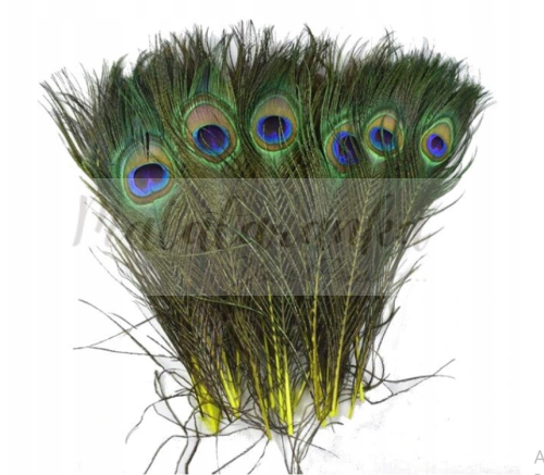 Paw Pióra pawia 25-30 cm ŻÓŁTE