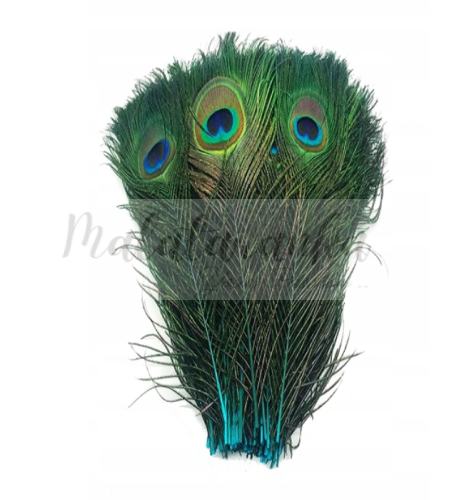 Paw Pióra pawia 25-30 cm TURKUSOWE