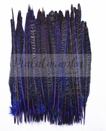 Bażant ogon lotka 25-30 cm GRANATOWE