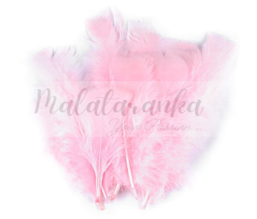 Indycze pióra Długie 11-17 cm JASNO RÓŻOWE