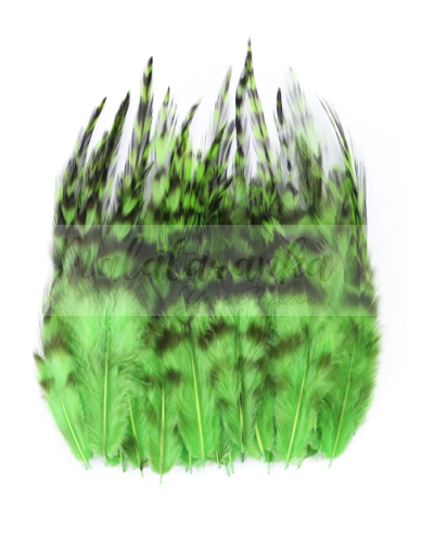 Pióra koguta Szynszyla Grizzly ZIELONE