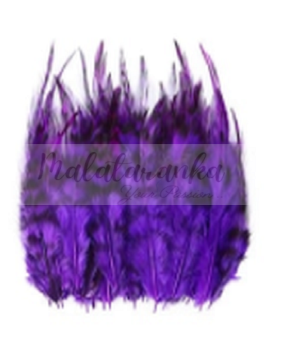 Pióra koguta Szynszyla Grizzly FIOLET 7-13 cm