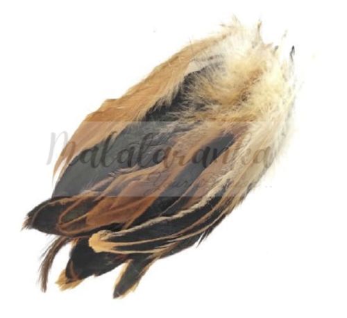 PIÓRA KOGUTA OZDOBNE 10-20cm BRĄZOWY BEŻ