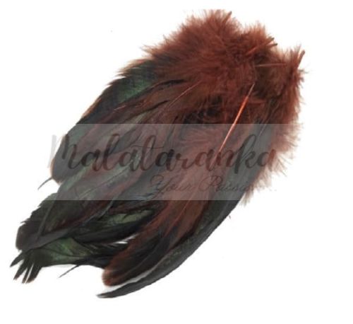 PIÓRA KOGUTA OZDOBNE 10-20 cm BRĄZOWE