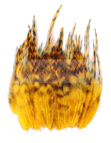 Pióra koguta Szynszyla Grizzly CIEMNO ZÓŁTE 7-13 cm