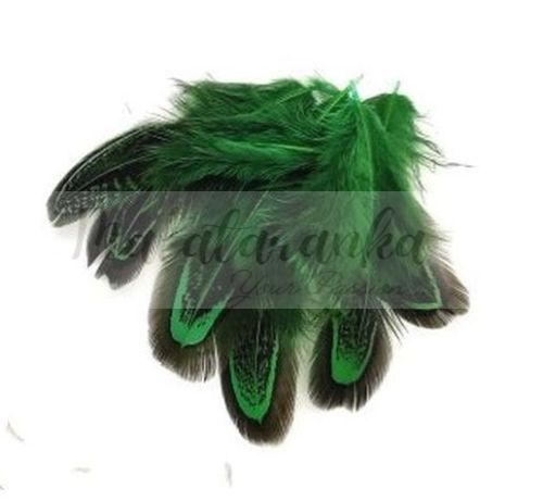 Pióra bażanta migdałowego 5-8 cm GREEN 10 szt