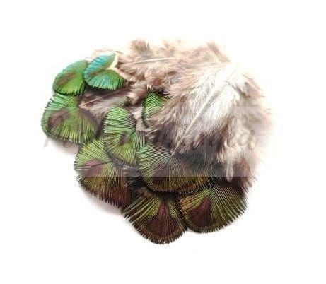 Paw pióra pawia 3-7 cm NATURALNE 10 szt