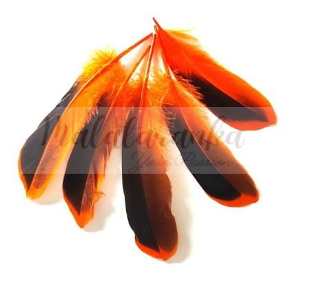 Pióra kaczę Mallard lotki 10-14 cm POMARAŃCZOWY 20 szt