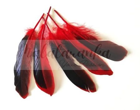 Pióra kaczę Mallard lotki 10-14 cm CZERWONY 20 szt