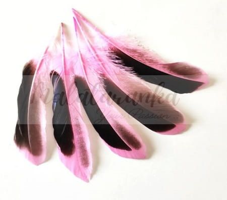 Pióra kaczę Mallard lotki 10-14 cm RÓŻOWY 20 szt