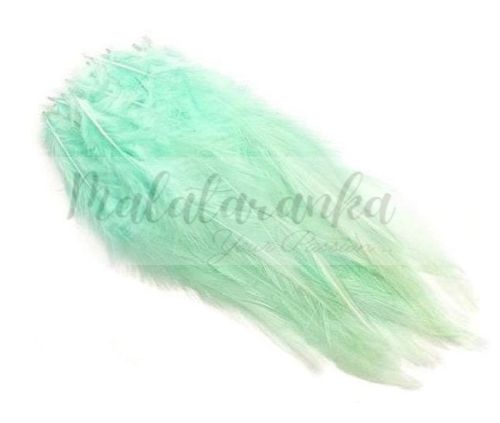 PIÓRA SIODŁOWE KOGUTA BARWIONE MIĘTOWE