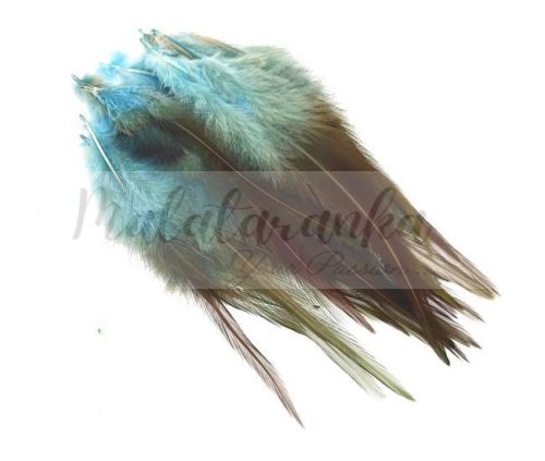 Pióra siodłowe koguta 10-15 cm BŁĘKITNY OMBRE