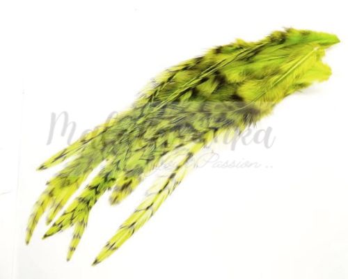 Pióra Genetyczne Grizzly 12-19cm CHARTREUSE YELLOW