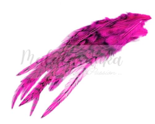 Pióra Genetyczne Grizzly 12-19cm DYED PINK