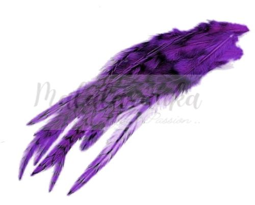 Pióra Genetyczne Grizzly 12-19cm DYED PURPLE