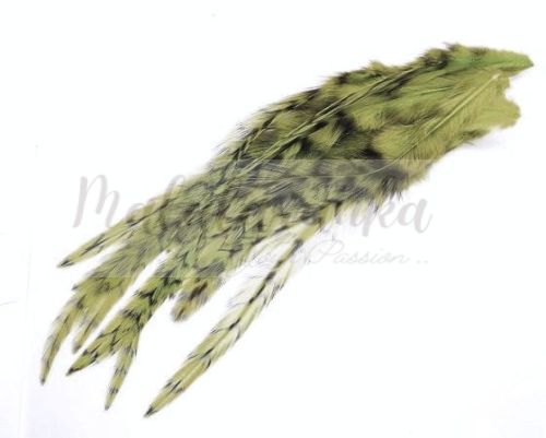 Pióra Genetyczne Grizzly 12-19cm DYED OLIVE