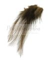 Pióra Genetyczne Coq de Leon LIGHT PARDO 12-18 cm