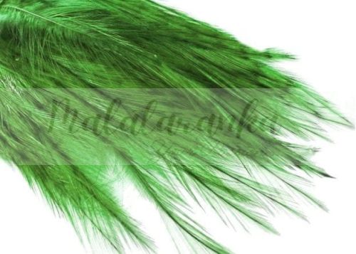 Pióra Genetyczne Coq de Leon dyed GREE CHARTREUSE