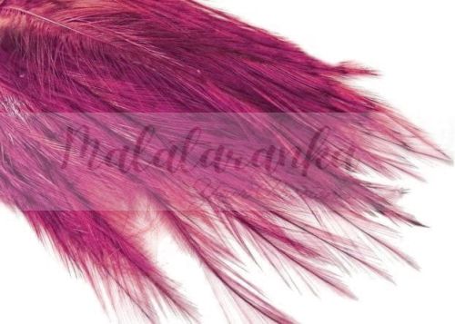 Pióra Genetyczne Coq de Leon dyed PINK