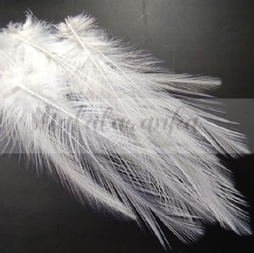 Pióra Genetyczne Coq de Leon dyed PURE WHITE 10-16 cm