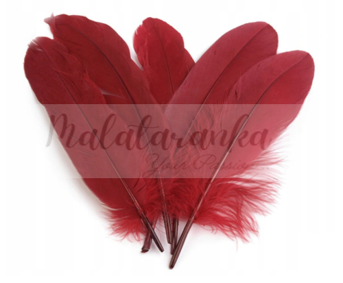 Pióra gęsi Lotki 13-18 cm CZERWONE WINNE