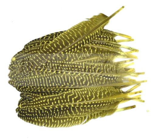 Perliczka Perlica pióra lotka 15-20 cm ŻÓŁTY