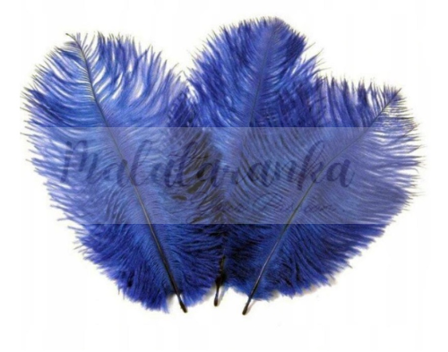 Strusie pióra 12-15cm GRANATOWY