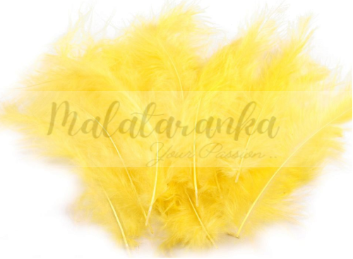Pióra strusia puchowe 10-18 cm ŻÓŁTE