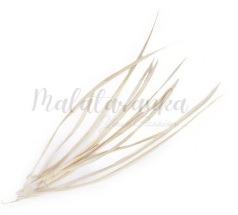 Pióra gęsie stosina 15-20 cm KREMOWE 10 szt