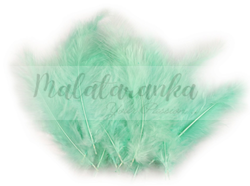 Pióra strusia puchowe 10-18 cm MIĘTOWE