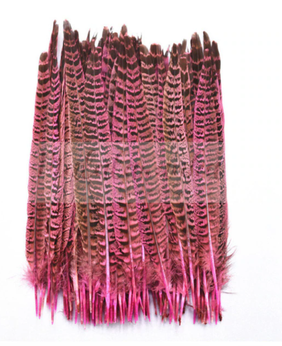 Bażant ogon lotka 25-30 cm RÓŻOWE