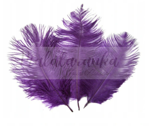 Strusie pióra 12-15 cm FIOLETOWY