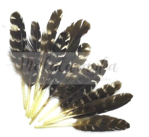 Pióra lotka naturalne PASKI 6-10cm