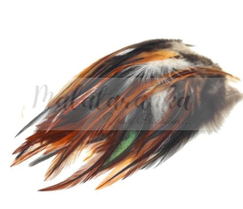 Pióra siodłowe Rooster Middle 10-15cm CZARNO-RUDE