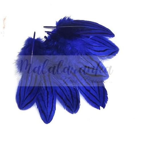 Bażant srebrzysty lotki 7-10cm CHABROWE