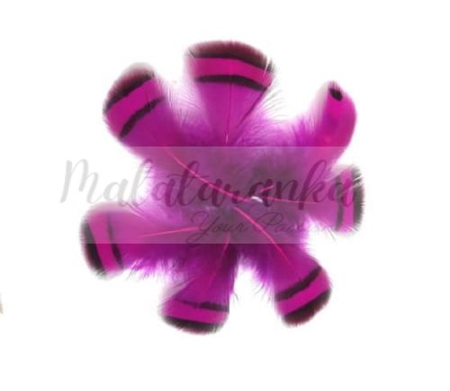 Kuropatwa Azjatycka pióra 4-7cm FUKSJA