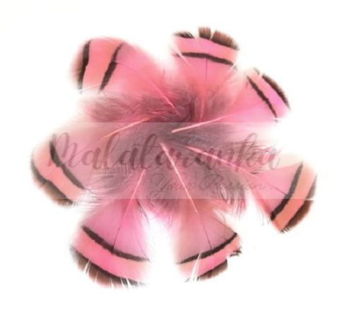 Kuropatwa Azjatycka pióra 4-7cm RÓŻOWE