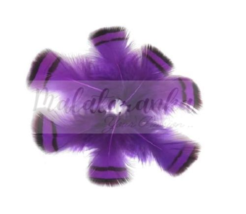 Kuropatwa Azjatycka pióra 4-7cm FIOLETOWE