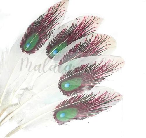 Pióra gęsie lotki 12-20cm BIAŁE Drukowany wzór