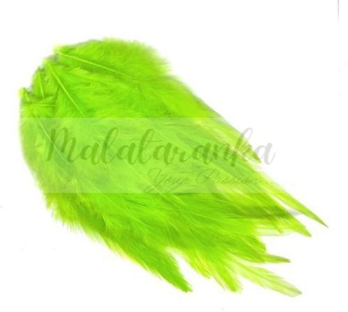 Pióra siodłowe koguta 10-15 cm CHARTREUSE