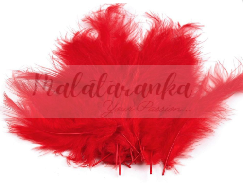 Pióra strusia puchowe 10-18 cm CZERWONE
