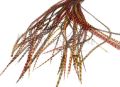 Pióra do włosów 18-29 cm AMBER mieszane