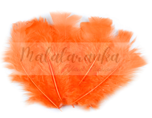 Indycze pióra Długie 11-17 cm POMARAŃCZOWE 10 szt