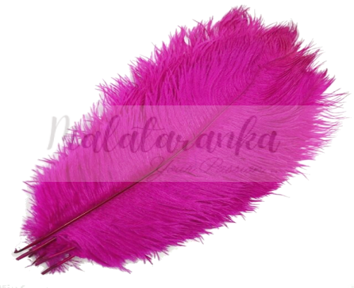 Strusie pióra długość 35-40 cm FUKSJA