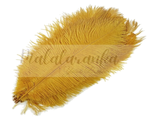Strusie pióro długość 35-40 cm MIODOWO ZŁOTE