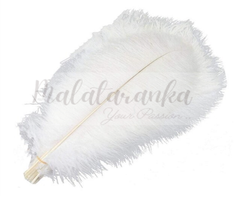 Strusie pióro długość 35-40 cm BIAŁE