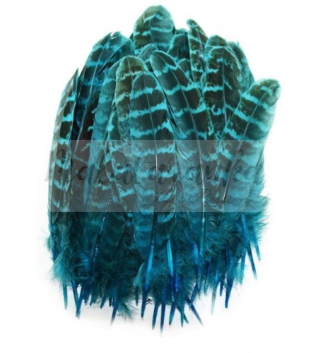 Bażant pióra lotki 10-15 cm TURKUSOWE