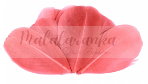 Czubki gęsich piór 5-7 cm KORALOWE 10szt