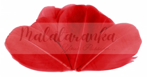 Czubki gęsich piór 5-7 cm CZERWONE 10szt